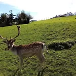 Prázdninový dům Book Comfortable Leutkirch im Allgäu